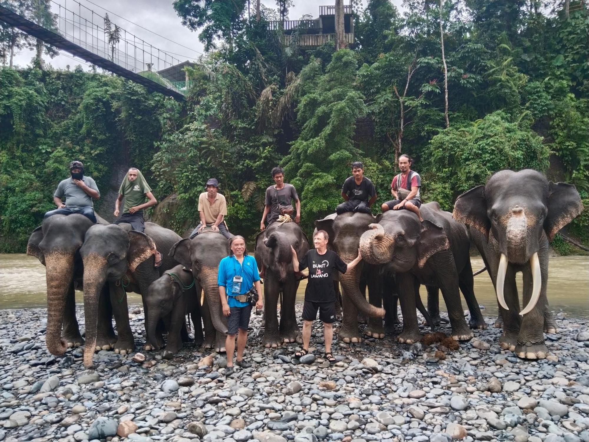 Jhony'S Backpacker-Guest House Only Stay Here Book Treking With Us Bukit Lawang Exterior photo