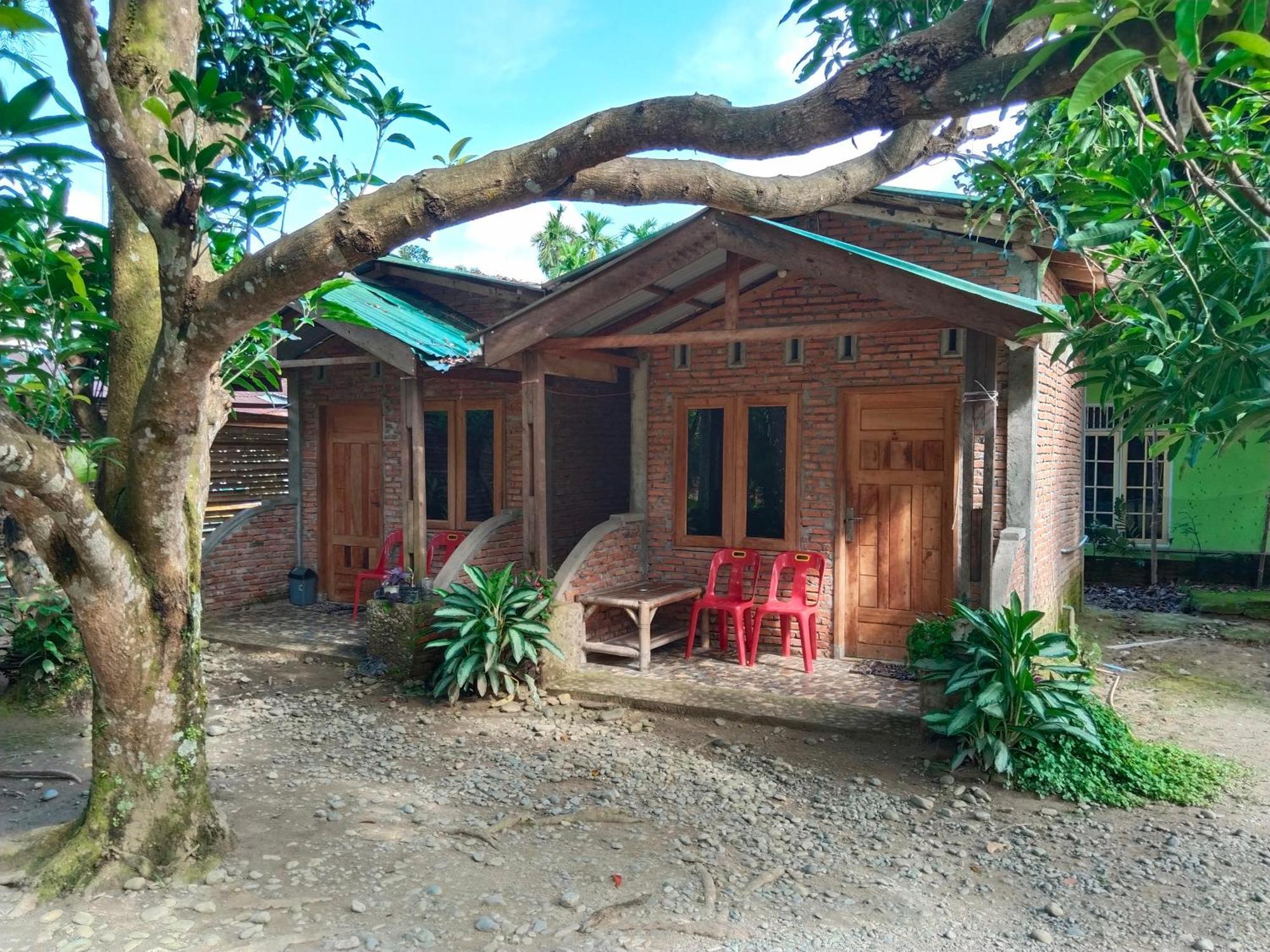 Jhony'S Backpacker-Guest House Only Stay Here Book Treking With Us Bukit Lawang Exterior photo